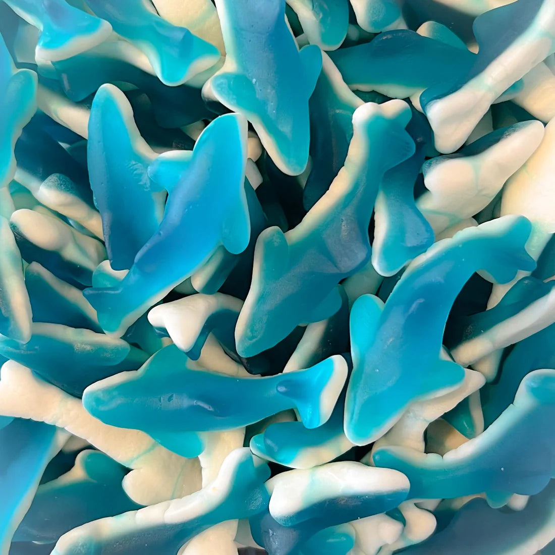 Requin Bleu Trolli (100g)
