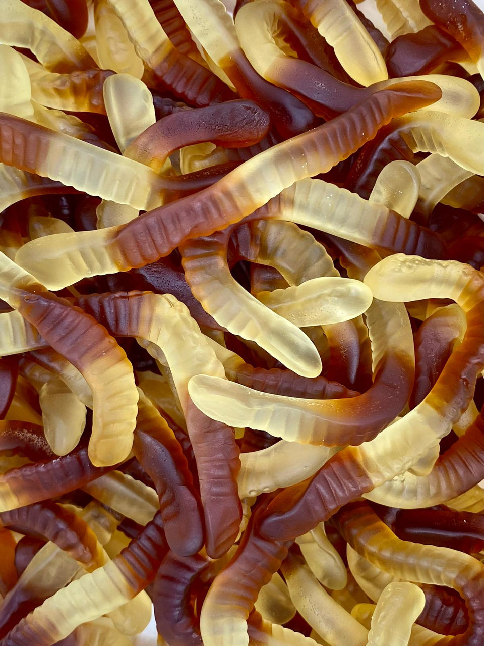 Ver de Cola Damel (100g)