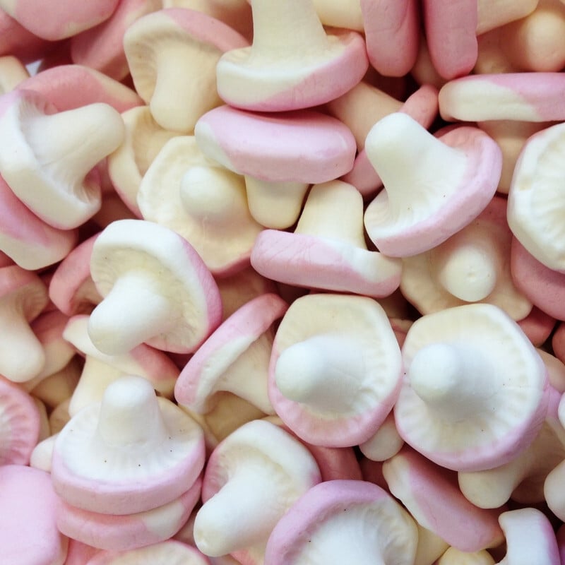 Champignons Lisses Dulceplus (100g)